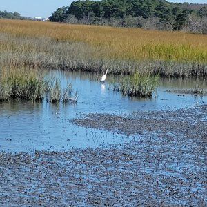 Meet your Posher, Juanita